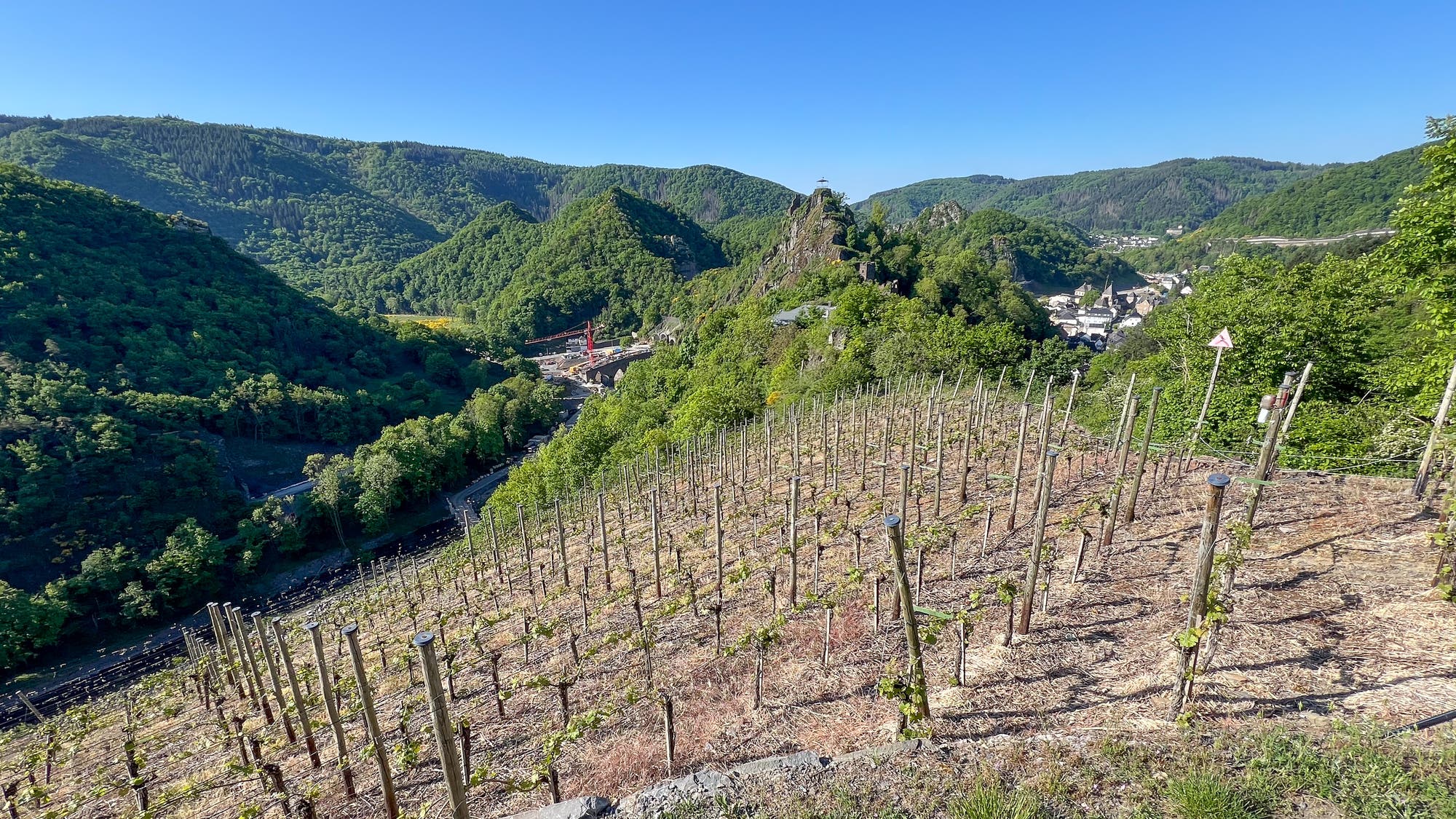 Weinberg auf einem Hügel mit jungen Reben, die in Reihen gepflanzt sind. Im Hintergrund erstrecken sich grüne, bewaldete Hügel unter einem klaren blauen Himmel. Ein kleines Dorf ist in der Ferne sichtbar, eingebettet in das Tal. Ein Wegweiser steht am Rand des Weinbergs.