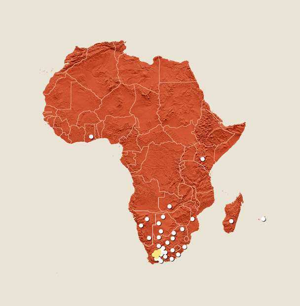Karte der Stationen des Square Kilometre Array auf dem afrikanischen Kontinent