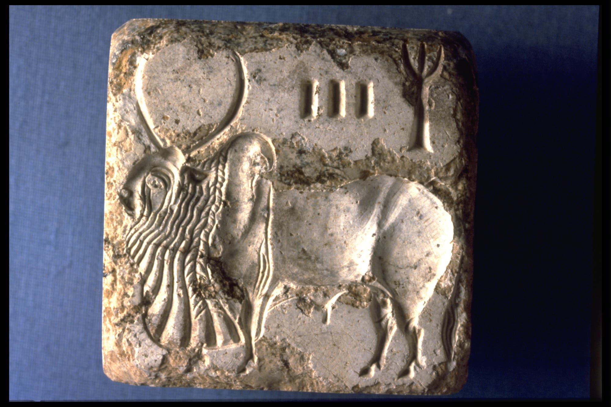 Hinterlassenschaft der Indus-Kultur