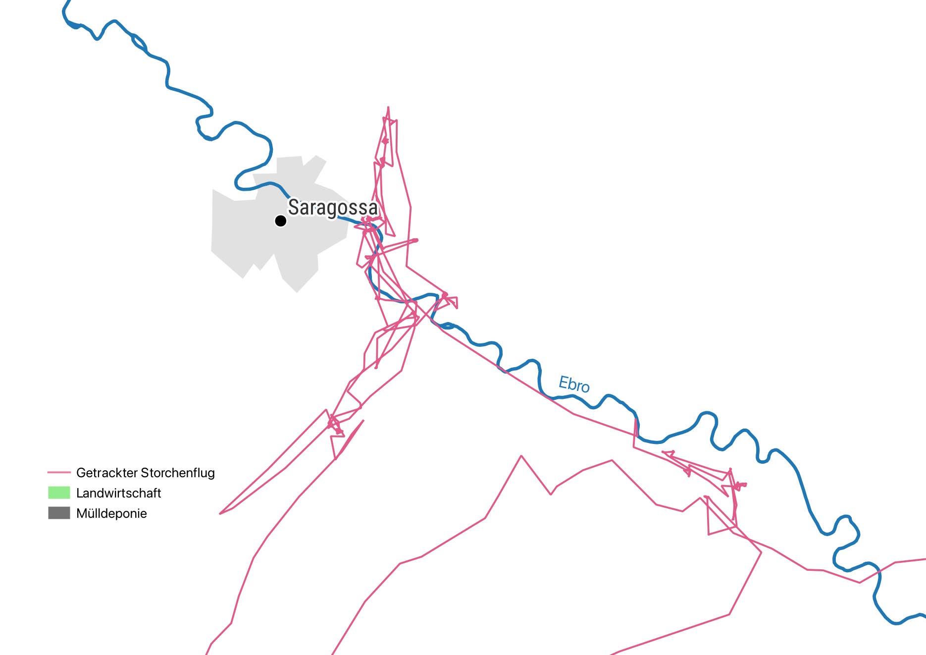 Eine geografische Karte zeigt die Region um Saragossa mit dem Fluss Ebro. Die Karte enthält eine pinke Linie, die den getrackten Flug eines Storches darstellt. Landwirtschaftliche Flächen sind in Grün und eine Mülldeponie in Grau markiert. Der Fluss Ebro ist in Blau eingezeichnet. Die Karte dient zur Veranschaulichung der Bewegungen des Storches in Bezug auf die geografischen Merkmale der Region.