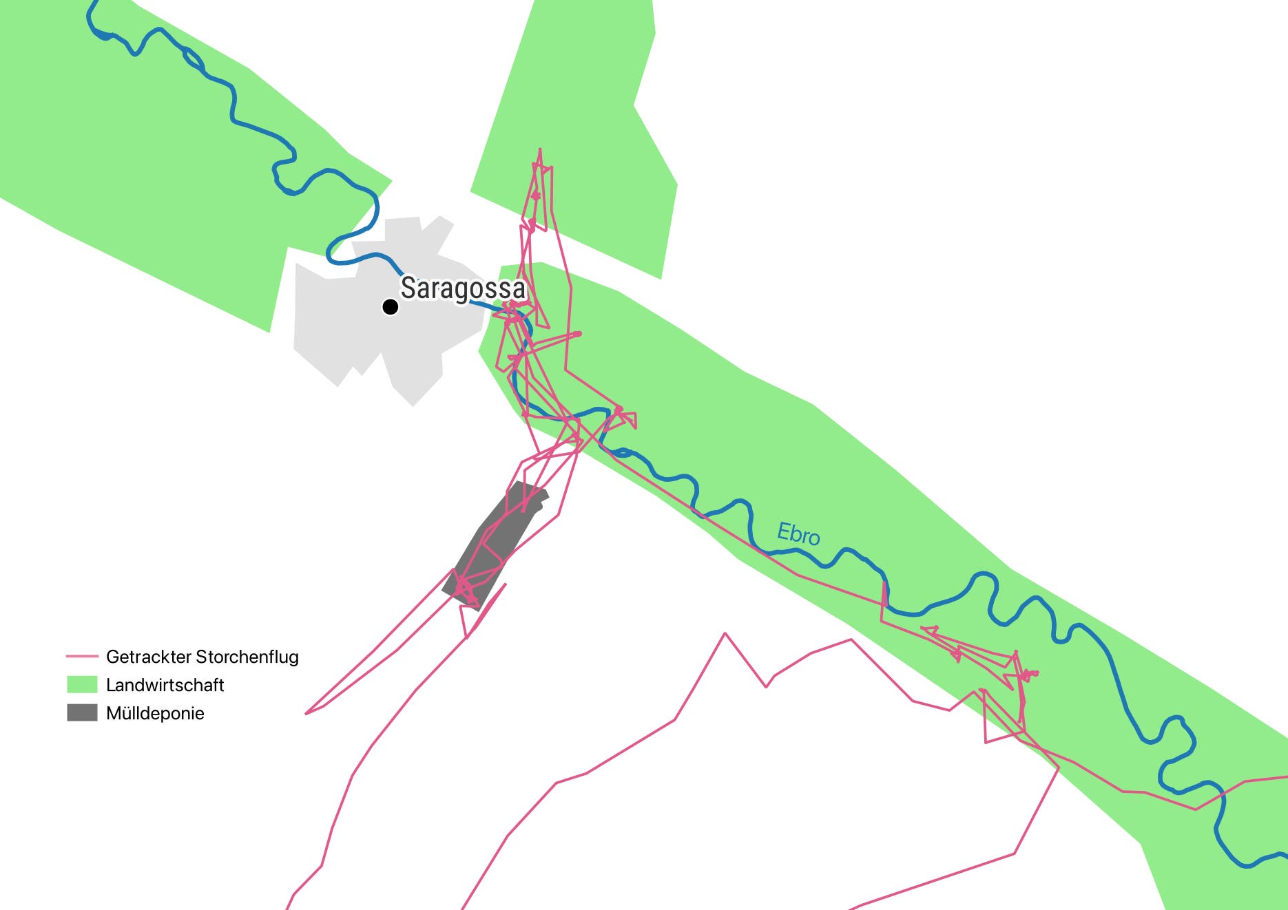Eine geografische Karte zeigt die Region um Saragossa mit dem Fluss Ebro. Die Karte hebt landwirtschaftliche Flächen in Grün und eine Mülldeponie in Grau hervor. Ein rosa Pfad zeigt die Flugroute eines getrackten Storches. Der Fluss Ebro schlängelt sich durch die Landschaft, und die Stadt Saragossa ist als graue Fläche markiert.