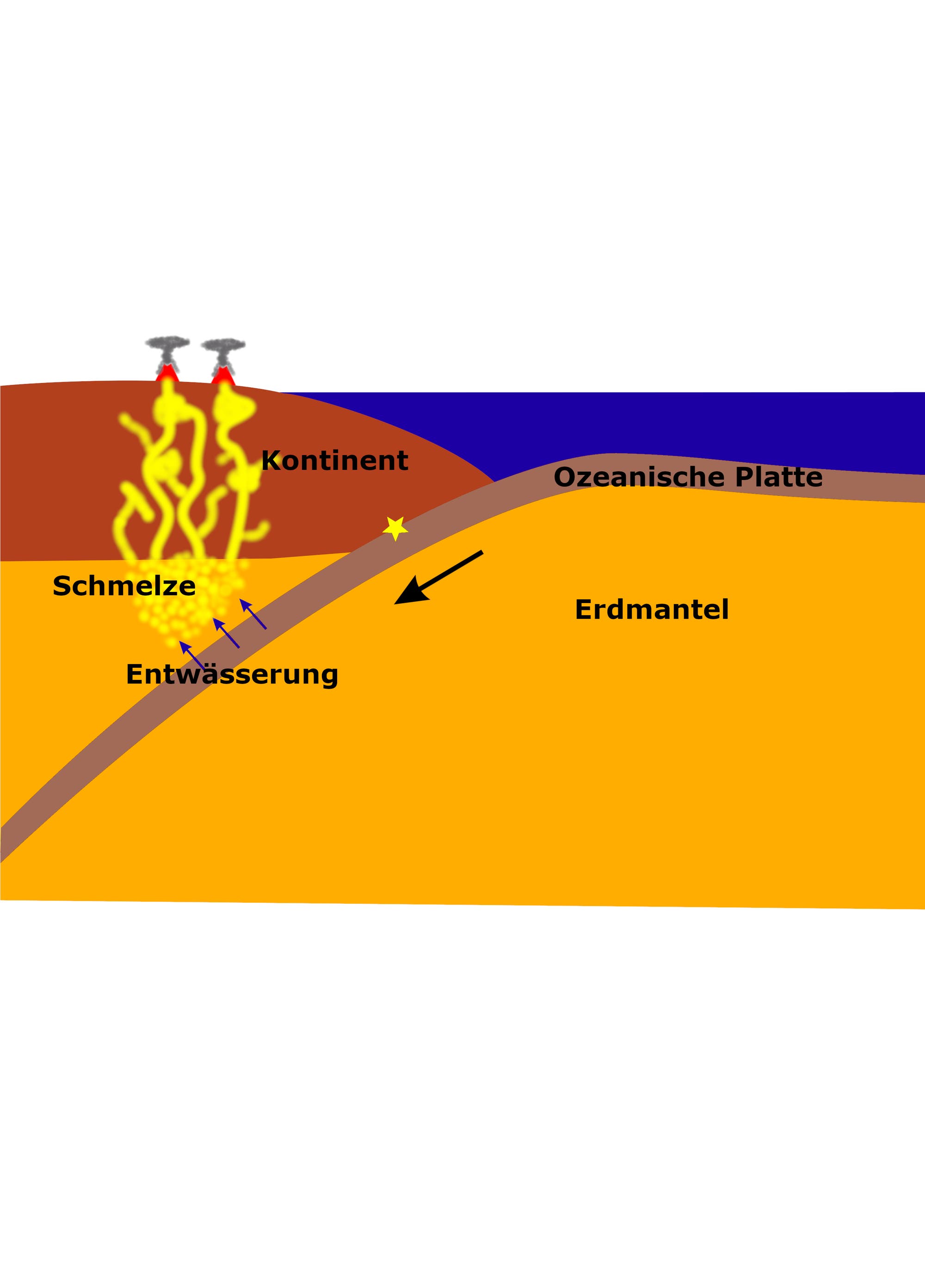 Querschnitt einer Subduktionszone, die die Interaktion zwischen einer ozeanischen Platte und einem Kontinent zeigt. Die ozeanische Platte taucht unter den Kontinent ab, was zur Entwässerung und Schmelzbildung im Erdmantel führt. Aufsteigende Schmelze verursacht Vulkanausbrüche an der Oberfläche. Beschriftungen: "Kontinent", "Ozeanische Platte", "Erdmantel", "Entwässerung", "Schmelze". Ein Pfeil zeigt die Bewegungsrichtung der ozeanischen Platte an.