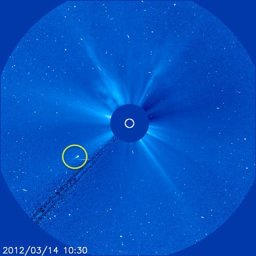 Komet SWAN im Blick von SOHO