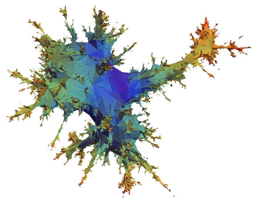 Eine abstrakte, polygonale Darstellung eines neuronalen Netzes, das in verschiedenen Farben von Blau über Grün bis Orange dargestellt ist. Die Struktur erinnert an die Verzweigungen eines Baumes oder die Dendriten eines Neurons, wobei die Farben möglicherweise unterschiedliche Daten oder Aktivitäten innerhalb des Netzes darstellen. Die geometrischen Formen und die Farbverläufe verleihen dem Bild eine dynamische und komplexe Ästhetik.