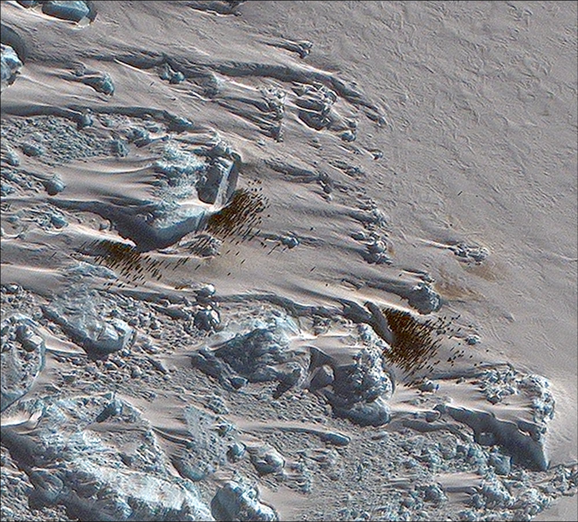Braune Spuren auf dem Eis verraten die Kaiserpinguine auch aus dem All. Auf diese Weise entdeckten Wissenschaftler eine Brutkolonie am Verleger Point in der Westantarktis.