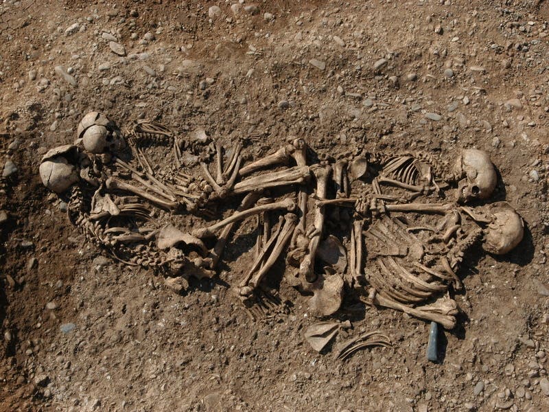 Schnurkeramik-Grab: Vater, Mutter und Kinder