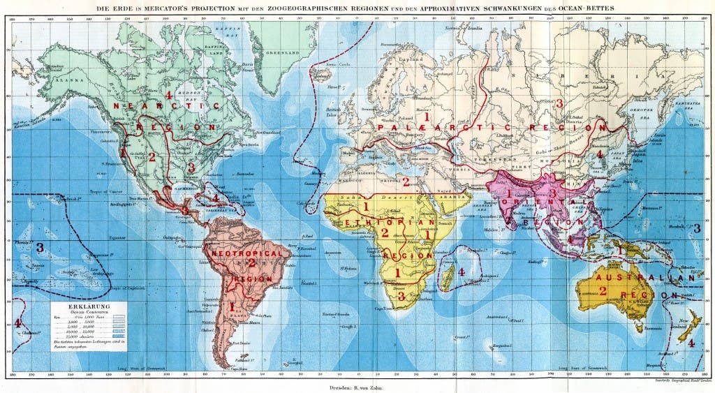 Alfred Russel Wallaces Weltkarte zur Verteilung der Tiere