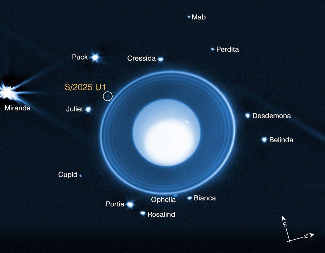 Una ilustración científica muestra al planeta Urano con sus anillos y varias lunas que están etiquetadas en la foto. La luna acaba de descubrir "S/2025 U1" Está resaltado. Los nombres de las otras lunas también son visibles, como Miranda, Disco y Giulietta. La figura contiene ayuda de la orientación con las instrucciones del este (E) y Z. El fondo está oscuro, lo que resalta los objetos brillantes.