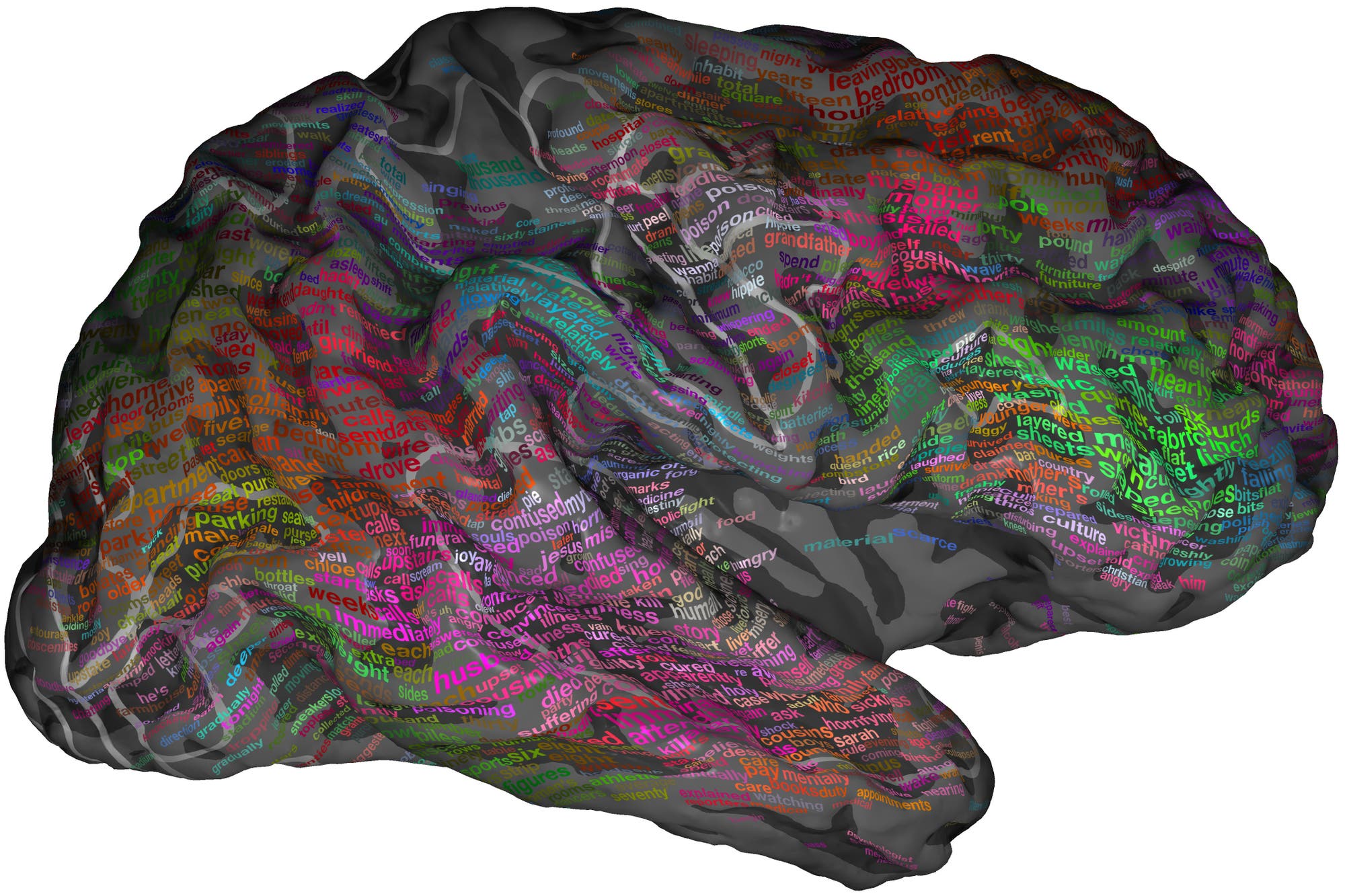Eine semantische Karte des Gehirns 
