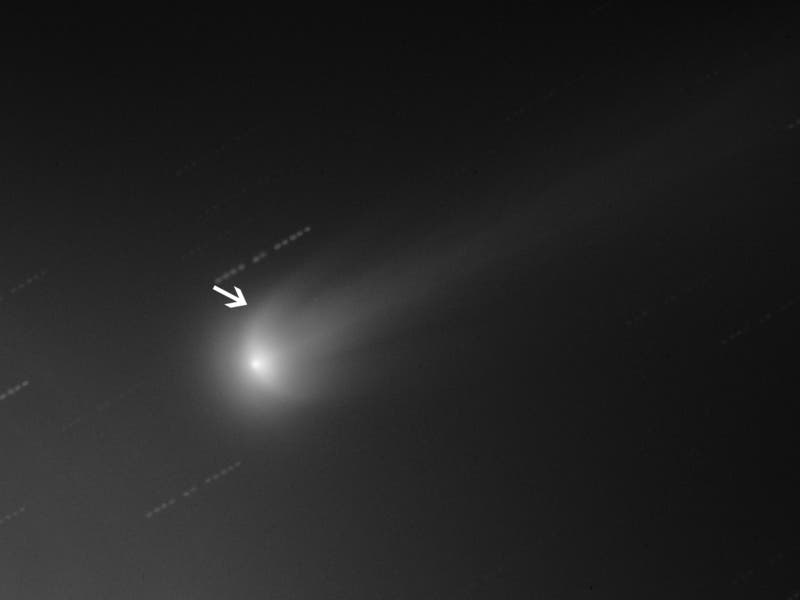 Komet ISON am 16. November 2013 (numerisch verarbeitet)