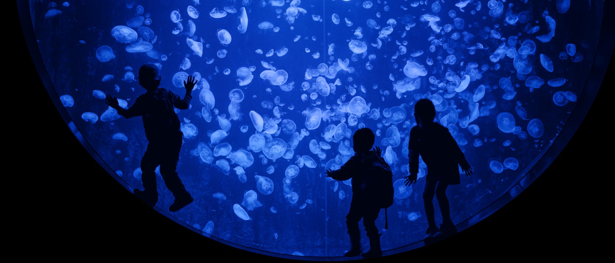 Kinder vor einem Aquarium