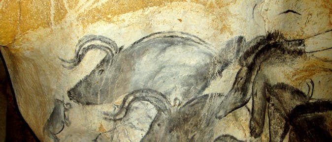 Geologen bestimmen Mindestalter der Chauvet-Höhlenbilder