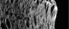 Iapetus von nahem