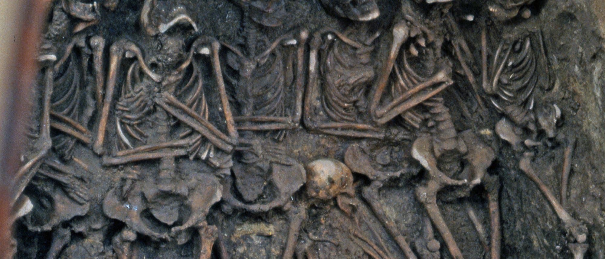 Skelette in einem Massengrab