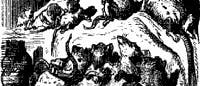 Ratten: das Musterbeispiel tierischer Invasionen