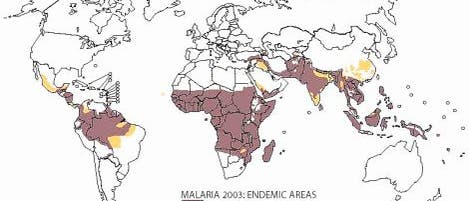 Malariaverbreitung