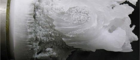 "Eisbart" an Eisbohrkern
