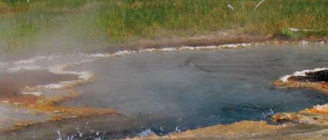 Heiße Quelle im Yellowstone Nationalpark