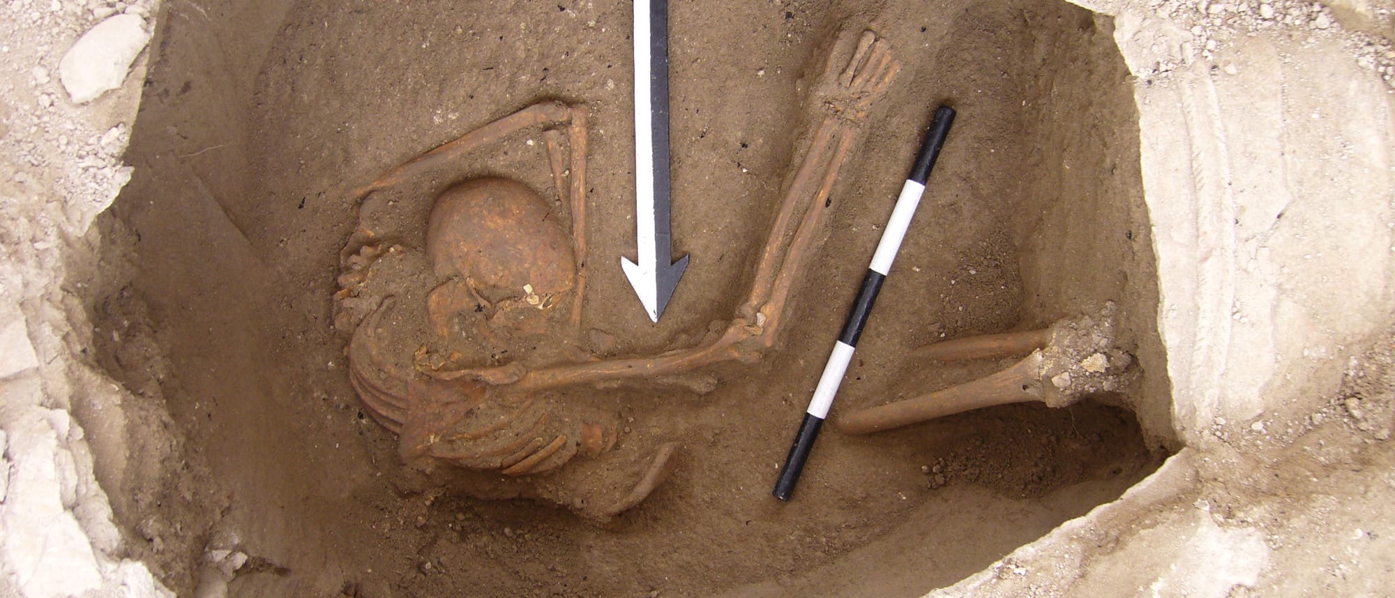 Skelett aus der Untersuchung zu den Kanaanitern
