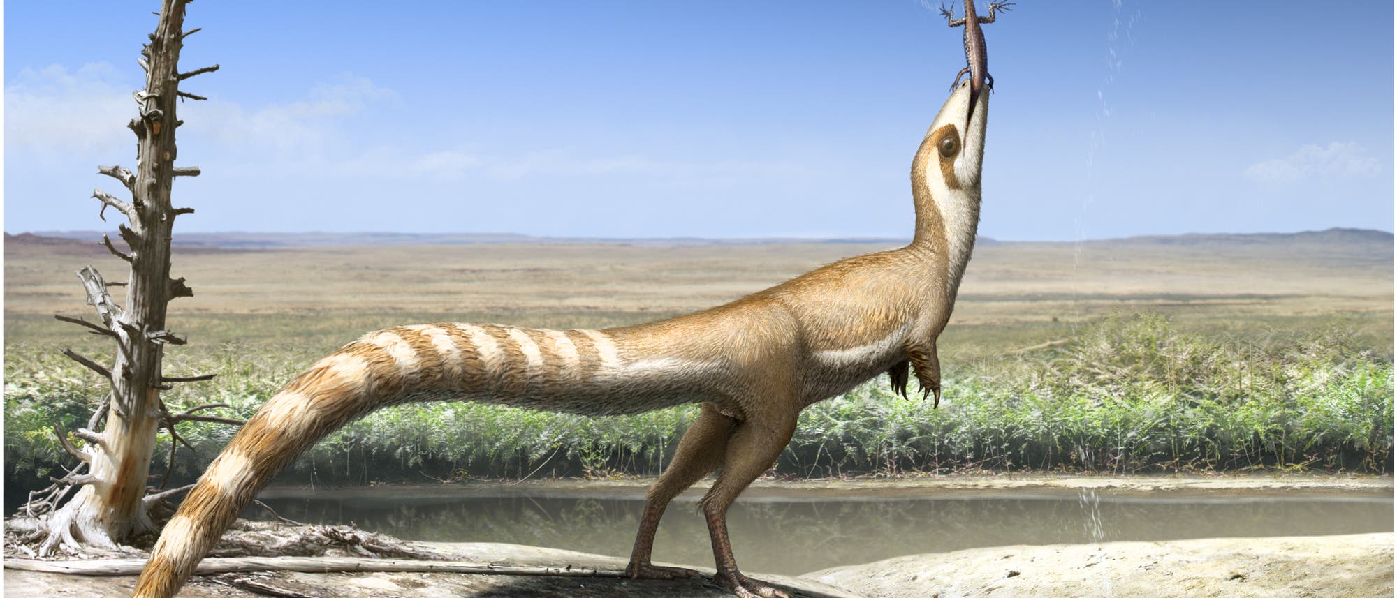 Sinosauropteryx (künstlerische Darstellung)
