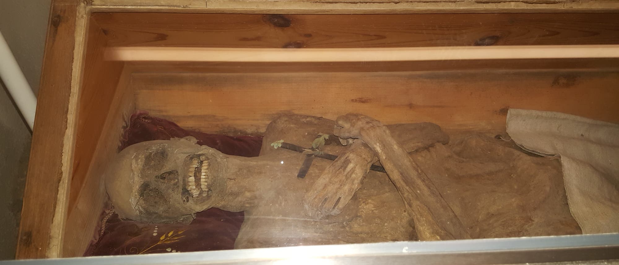 Eine Mumie liegt in einem hölzernen Sarg mit Glasabdeckung. Die Mumie hält ein kleines Kreuz in den Händen, die auf der Brust gefaltet sind. Der Sarg ist innen mit einem roten Stoff ausgekleidet. Die Szene befindet sich in einem beleuchteten Raum.
