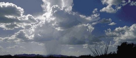 Cumuluswolken über Organ Pipe Cactus (Arizona)
