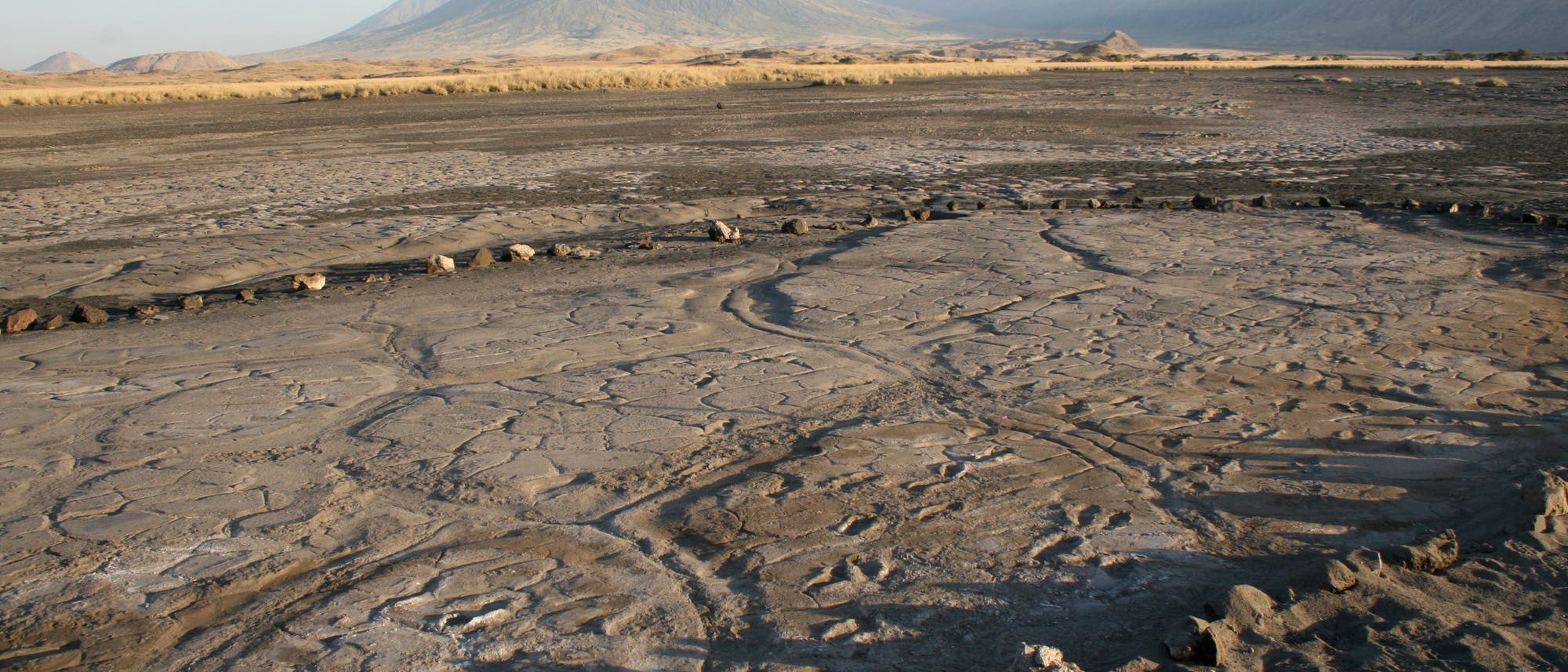 Der Fußspur-Fundplatz Engare Sero in Tansania. Die 408 Abdrücke im Vulkanschlamm entstanden vor bis zu 19.100 Jahren.