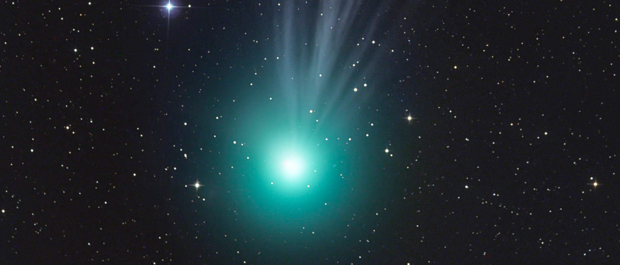 Komet C/2014Q2 Lovejoy - fotografiert zwischen zwei Wolkenlücken von Gerald Rhemann. 