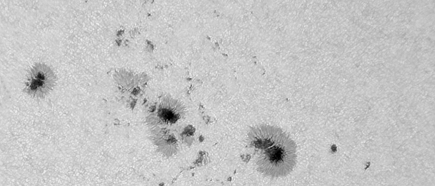 Schwarz-weißes Bild von Sonnenflecken auf der Sonnenoberfläche. Mehrere dunkle Flecken, umgeben von helleren Bereichen, sind sichtbar. Die Struktur der Sonnenoberfläche zeigt eine körnige Textur. Keine Menschen oder Texte im Bild.