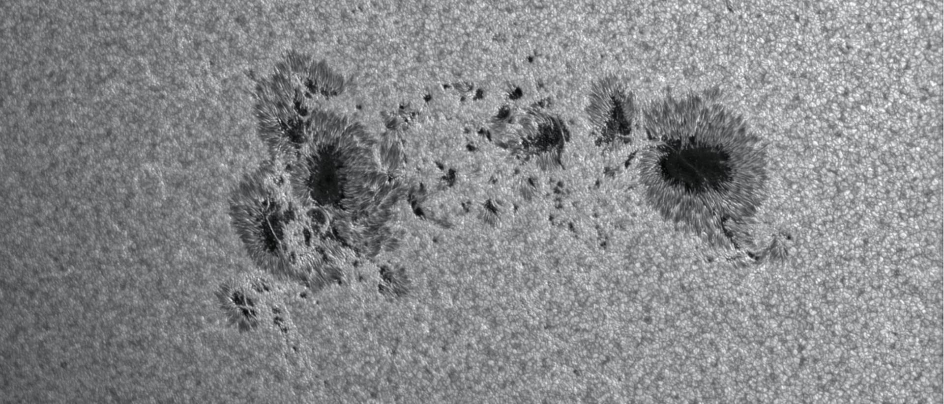 Schwarz-weißes astronomisches Bild der Sonnenoberfläche, das mehrere Sonnenflecken zeigt. Diese dunklen Bereiche sind von helleren, faserigen Strukturen umgeben, die die Granulation der Sonnenoberfläche darstellen. Die Textur der Oberfläche ist körnig und ungleichmäßig. Unten rechts sind kleine Textinformationen mit Datum und technischen Details sichtbar. Schwarz-weißes astronomisches Bild der Sonnenoberfläche, das mehrere Sonnenflecken zeigt. Diese dunklen Bereiche sind von helleren, faserigen Strukturen umgeben, die die Granulation der Sonnenoberfläche darstellen. Die Textur der Oberfläche ist körnig und ungleichmäßig. Unten rechts sind kleine Textinformationen mit Datum und technischen Details sichtbar.