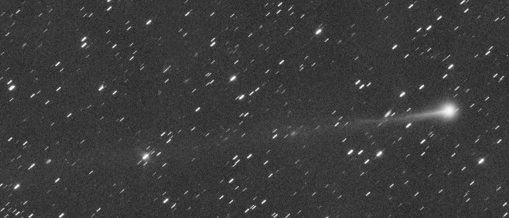 Ein schwarz-wei&szlig;es astronomisches Bild zeigt den Kometen MAPS mit einem langen, leuchtenden Schweif, der sich durch ein Feld von Sternen zieht. Der Kometenkern befindet sich im rechten Bereich des Bildes und hebt sich durch seine Helligkeit von den umliegenden Sternen ab. Der Schweif erstreckt sich nach links und verleiht dem Bild eine dynamische Komposition. Die Sterne erscheinen als kleine, helle Punkte auf einem dunklen Hintergrund.