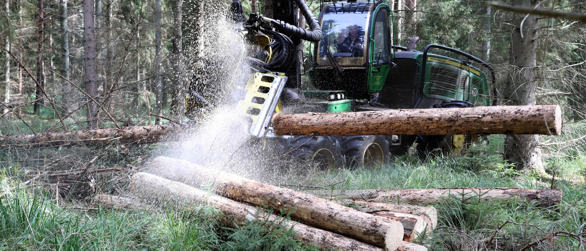 Holzvollernter (Harvester) bei der Arbeit