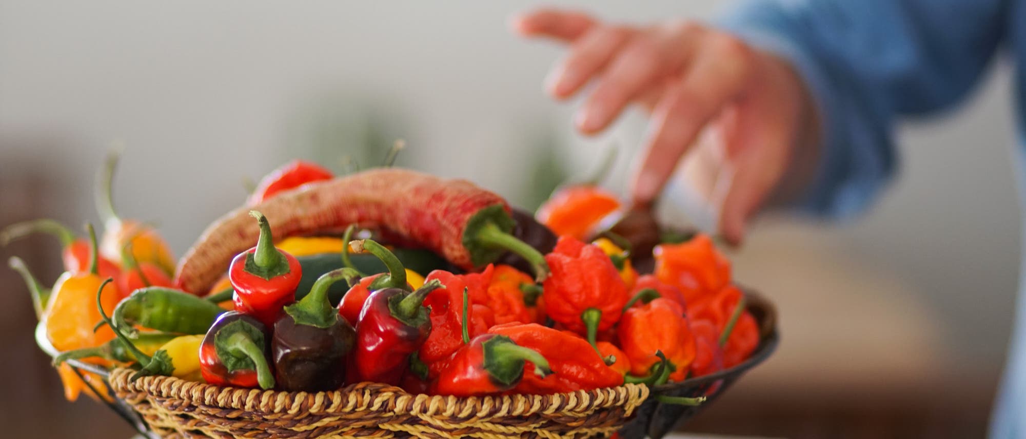Ein Korb voller bunter Paprikaschoten, darunter rote, grüne und orangefarbene Sorten, steht auf einem Tisch. Eine Hand greift nach einer der Paprikaschoten. Der Hintergrund ist unscharf, was den Fokus auf die Paprikaschoten lenkt. Ein Korb voller bunter Paprikaschoten, darunter rote, grüne und orangefarbene Sorten, steht auf einem Tisch. Eine Hand greift nach einer der Paprikaschoten. Der Hintergrund ist unscharf, was den Fokus auf die Paprikaschoten lenkt.