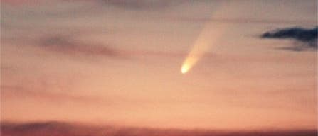 Komet McNaught in der Dämmerung