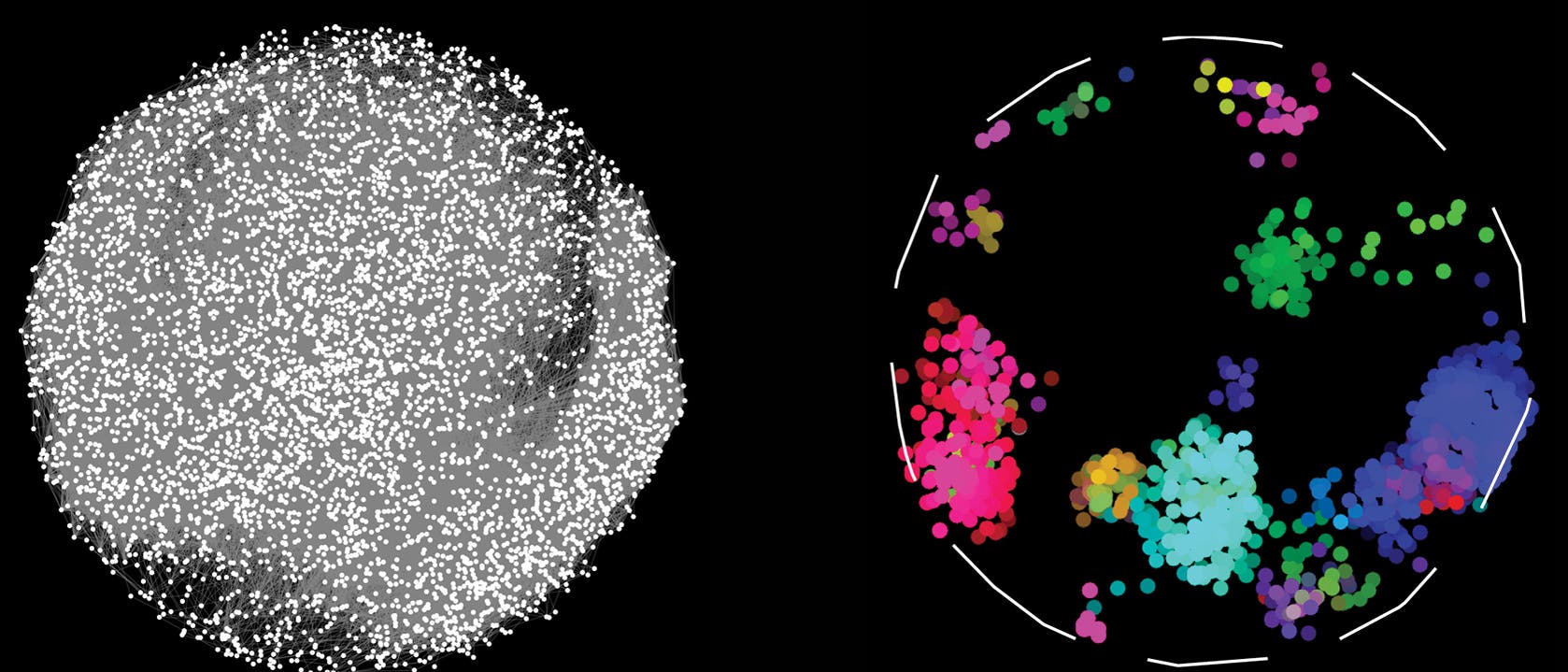 So sieht das bislang größte Beziehungsnetzwerk unserer Proteine aus