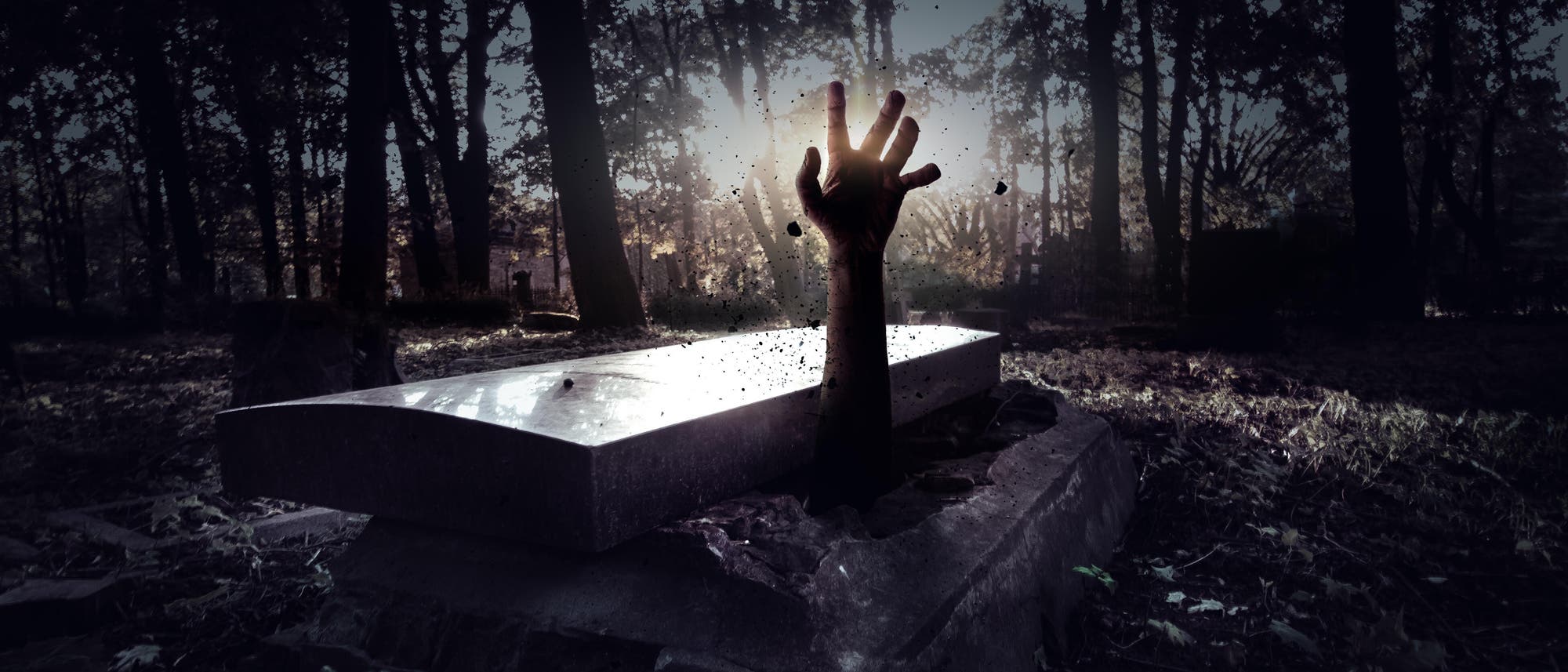 Eine Hand ragt aus einem Grabstein in einem dunklen, bewaldeten Friedhof hervor. Die Szene ist dramatisch beleuchtet, mit Sonnenlicht, das durch die Bäume scheint und die Hand hervorhebt. Blätter und Schatten umgeben das Grab, was eine unheimliche Atmosphäre schafft.