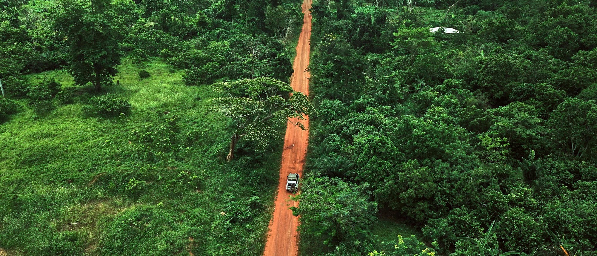 Eine Straße führt durch ein Waldgebiet in der Elfenbeinküste