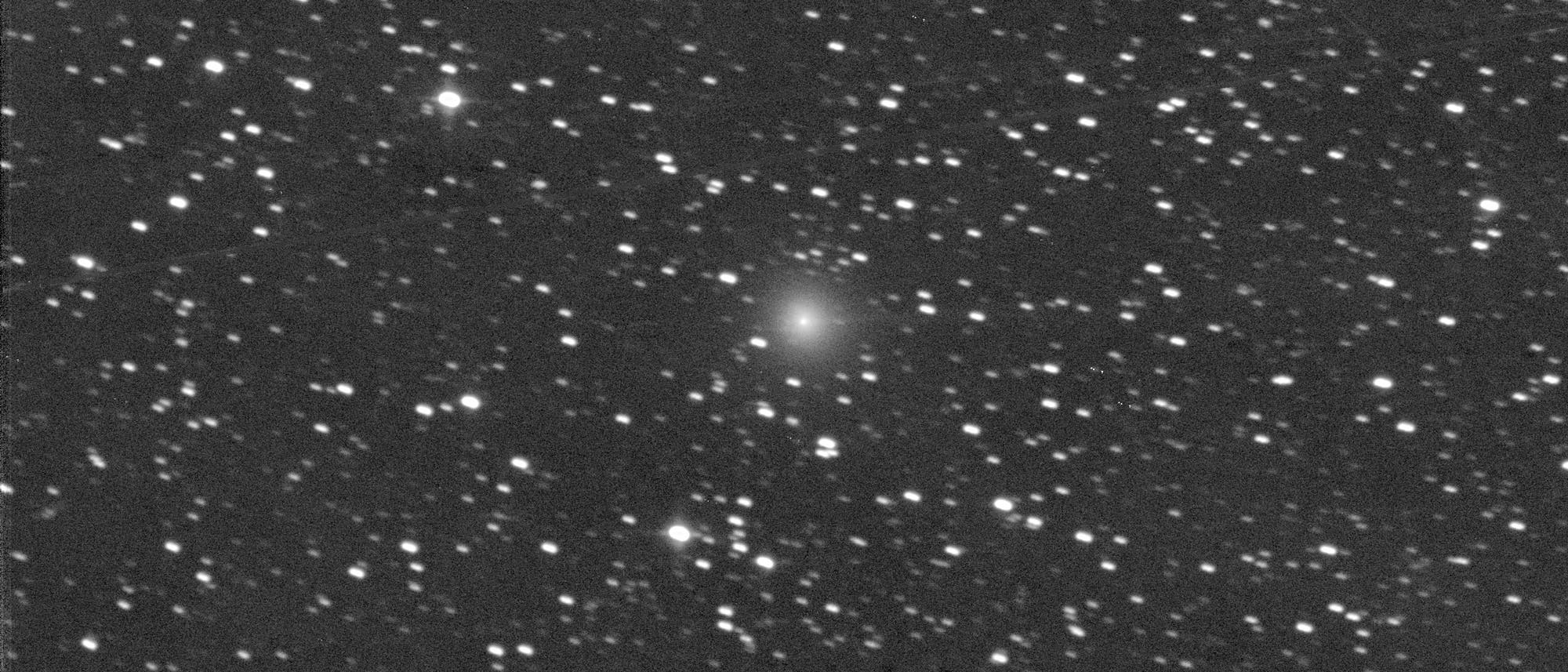 Fotografie eines Kometen, der sich als verwaschener heller Fleck vor einem Hintergrund aus Sternen abhebt.