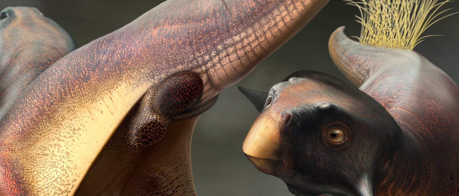 Die Rekonstruktion von Psittacosaurus veranschaulicht, wie die Tiere den Kloakenschlitz während der Balz nutzten.