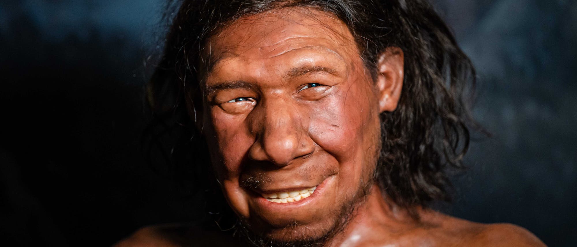 Eine realistische Darstellung eines prähistorischen Menschen mit langen, dunklen Haaren und einem freundlichen Gesichtsausdruck. Der Hintergrund ist dunkel und unscharf, was den Fokus auf die Gesichtszüge der Figur lenkt. Die Darstellung vermittelt einen Eindruck von Lebendigkeit und Detailreichtum.