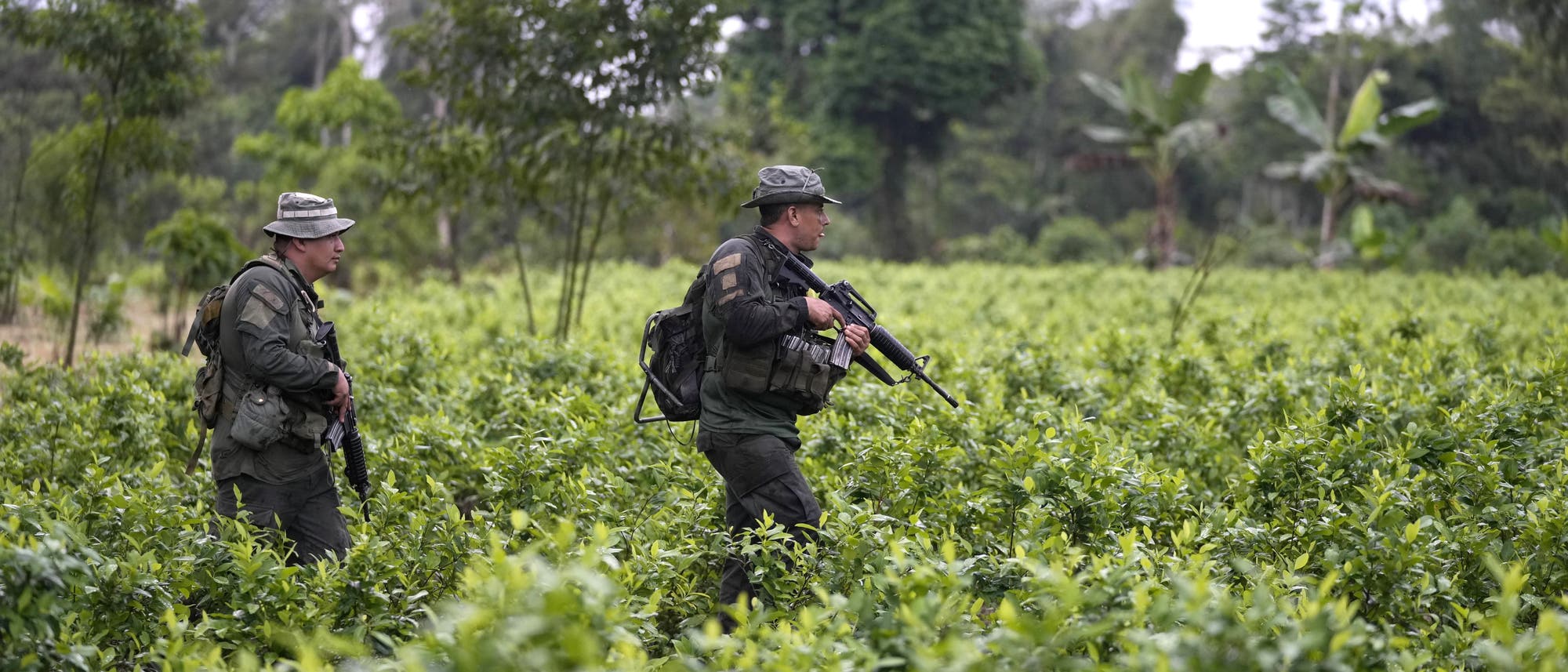 Kolumbianische Anti-Drogen-Polizei bei einem Einsatz in einem Koka-Feld