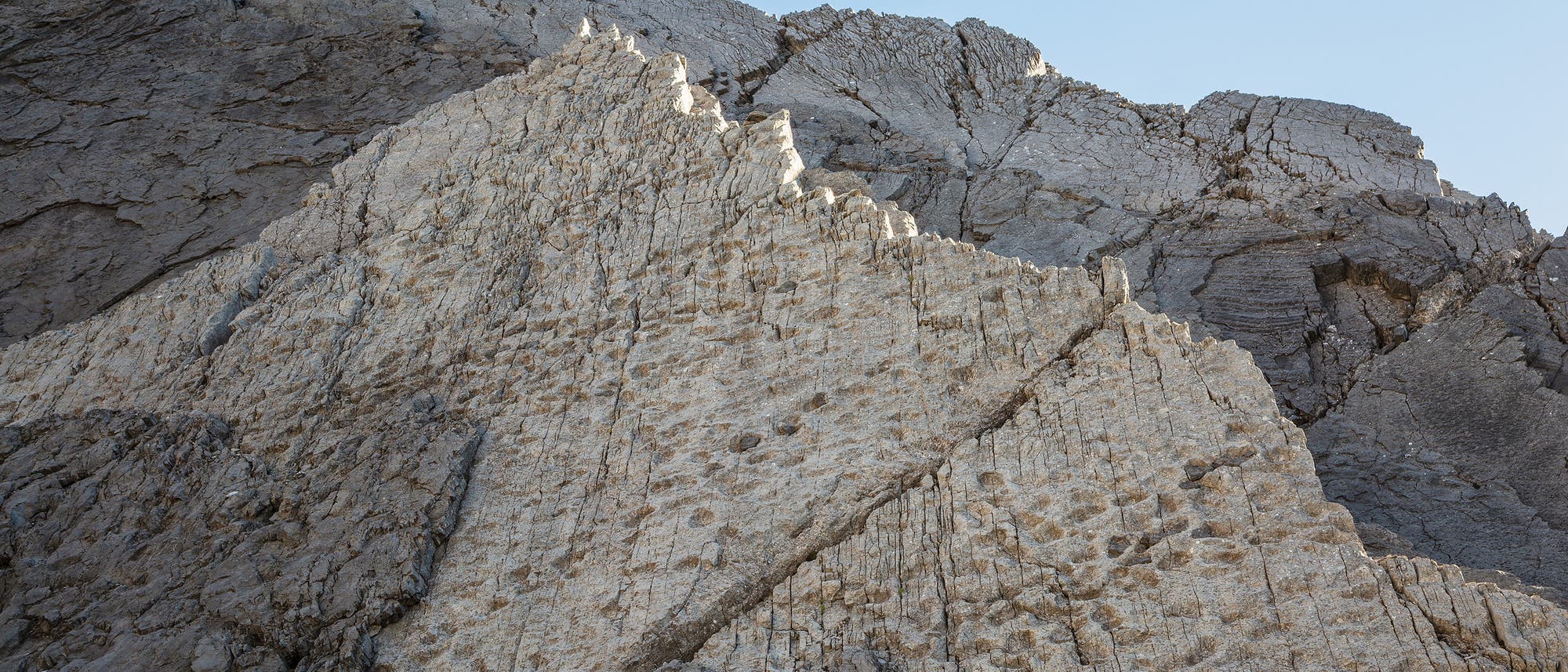 Felsformation mit markanten, schr&auml;g verlaufenden Schichten und Rissen. Die Oberfl&auml;che ist &uuml;bers&auml;t mit Abdr&uuml;cken und zeigt eine Mischung aus hellen und dunklen Gesteinsfarben, die auf geologische Prozesse hinweisen. Der Himmel ist klar und blau im Hintergrund.