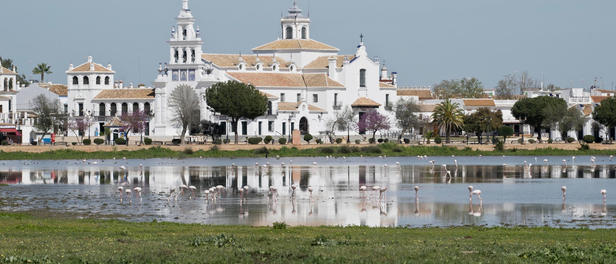 Wallfahrtskirche Ermita de el Rocio mit Lagune: Die Gebäude im Hintergrund sind weiß mit roten Ziegeldächern, dominiert wird die Bildmitte von der Kirche. Im Vordergrund erstreckt sich eine flache Lagune, in der Wasservögel, vornehmlich Flamingos, stehen. Im Vordergrund befindet sich eine Fläche mit kurzem Gras und nackter Boden.