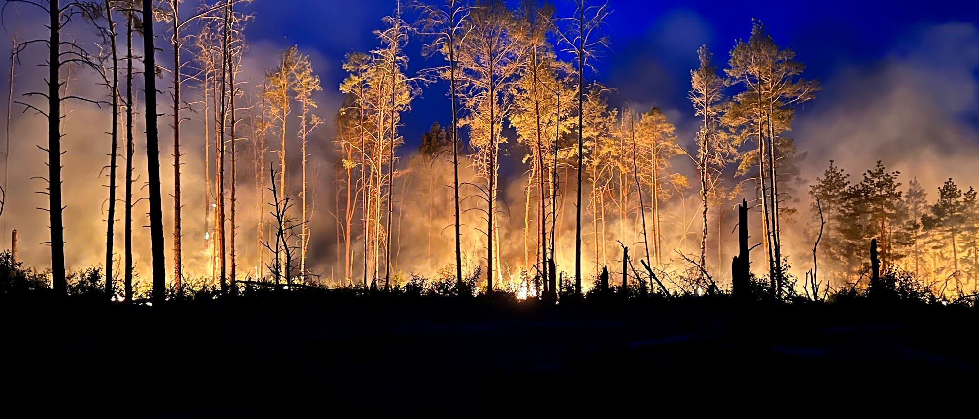 Flammen erhellen am späten Abend ein Waldstück nahe Jüterbog im Juni 2023.