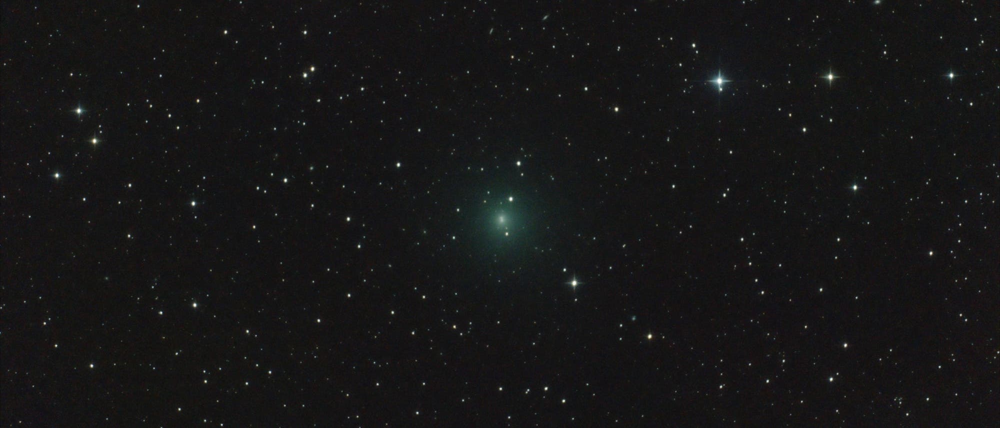 Komet 41P/Tuttle-Giacobini-Kresák (Aufnahme von José J. Chambó)