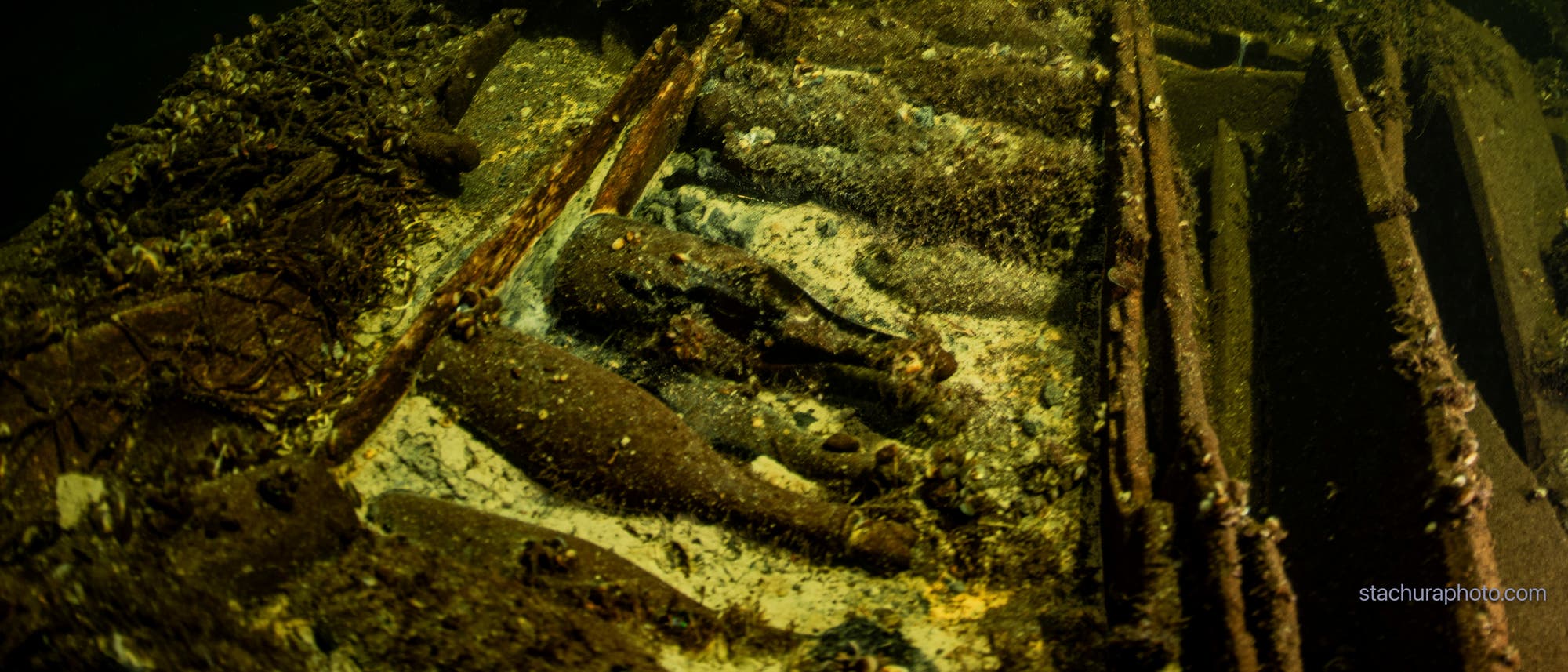 Alte Flaschen in einem Schiffswrack auf dem Grund der Ostsee