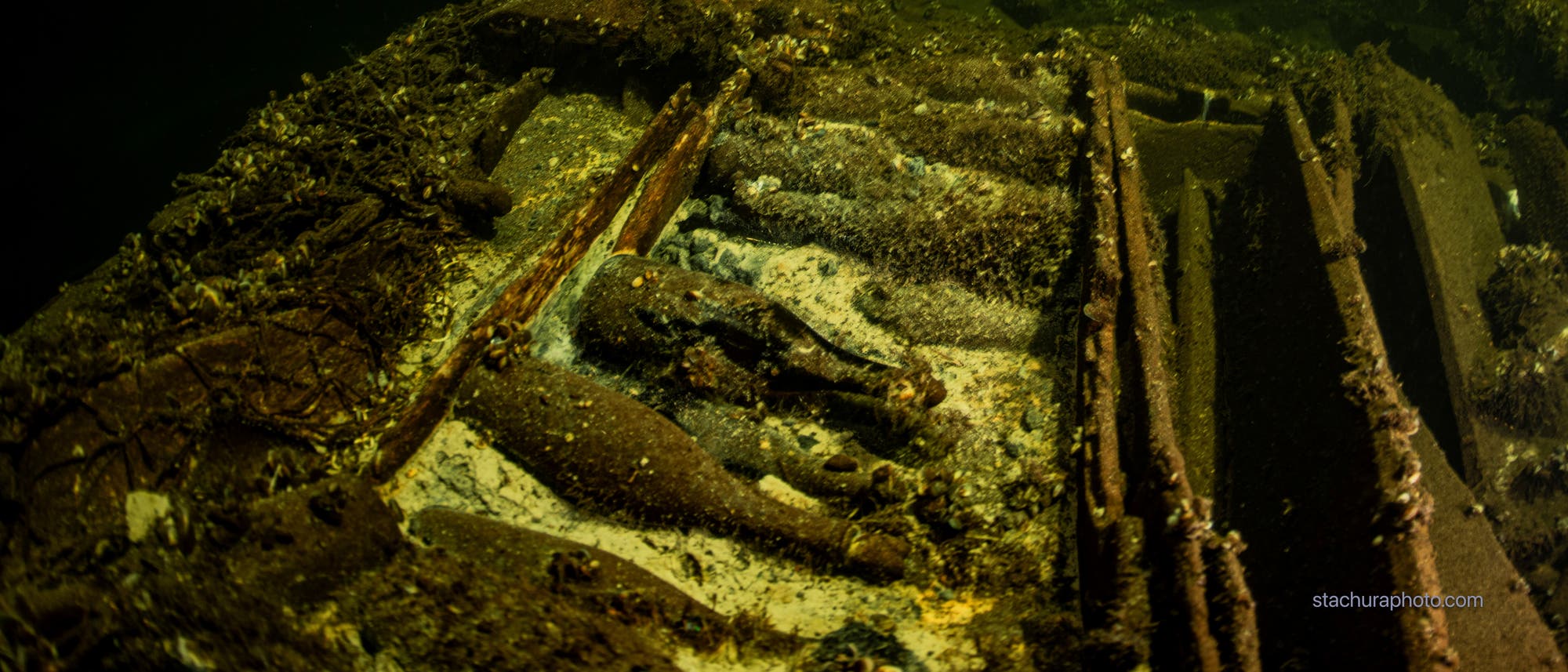 Alte Flaschen in einem Schiffswrack auf dem Grund der Ostsee