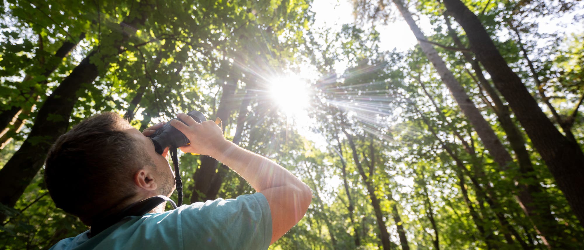 Ein Förster blickt mit dem Fernglas auf den Wald