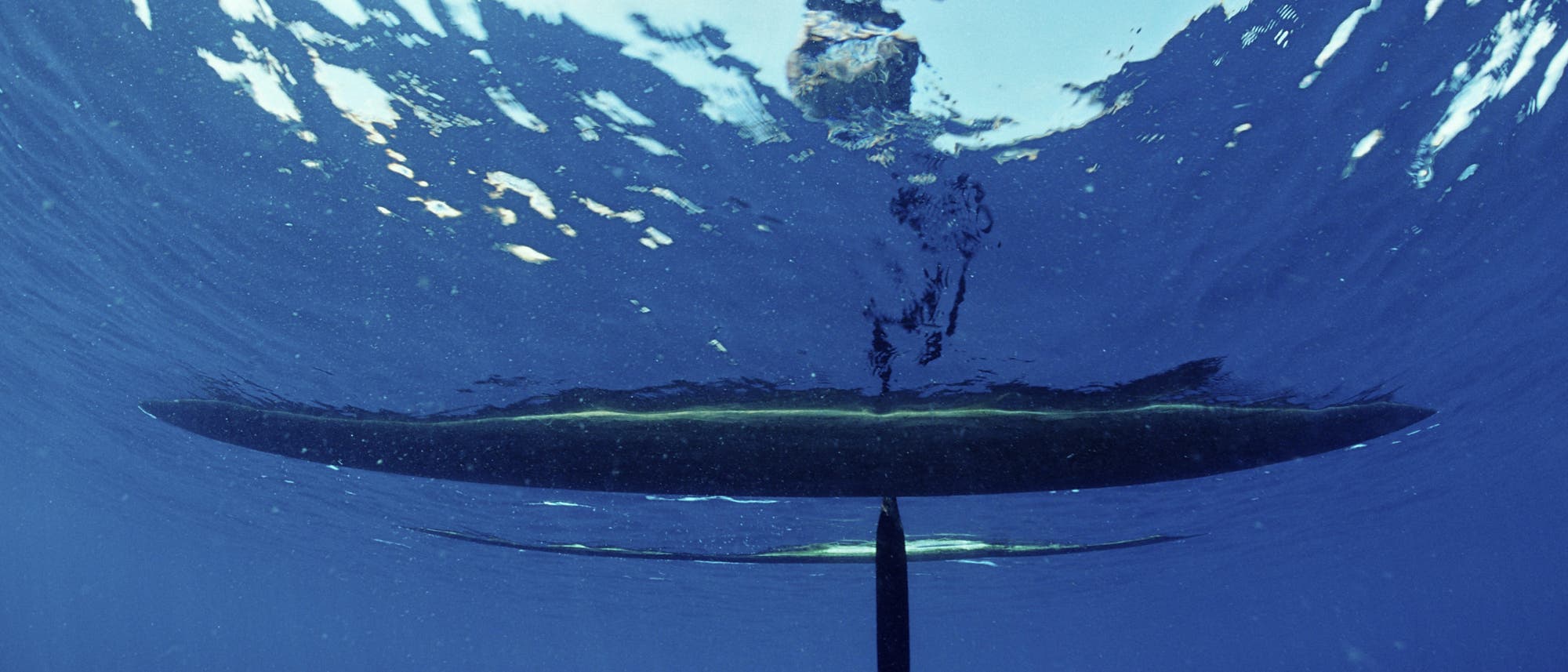 Unterwasseraufnahme eines Auslegerkanu. Die Perspektive zeigt den Rumpf, ein Paddel und den Auslegerteil Bootes von unten. Die Wasseroberfläche spiegelt das Licht und erzeugt ein wellenförmiges Muster. Unterwasseraufnahme eines Auslegerkanu. Die Perspektive zeigt den Rumpf, ein Paddel und den Auslegerteil Bootes von unten. Die Wasseroberfläche spiegelt das Licht und erzeugt ein wellenförmiges Muster.