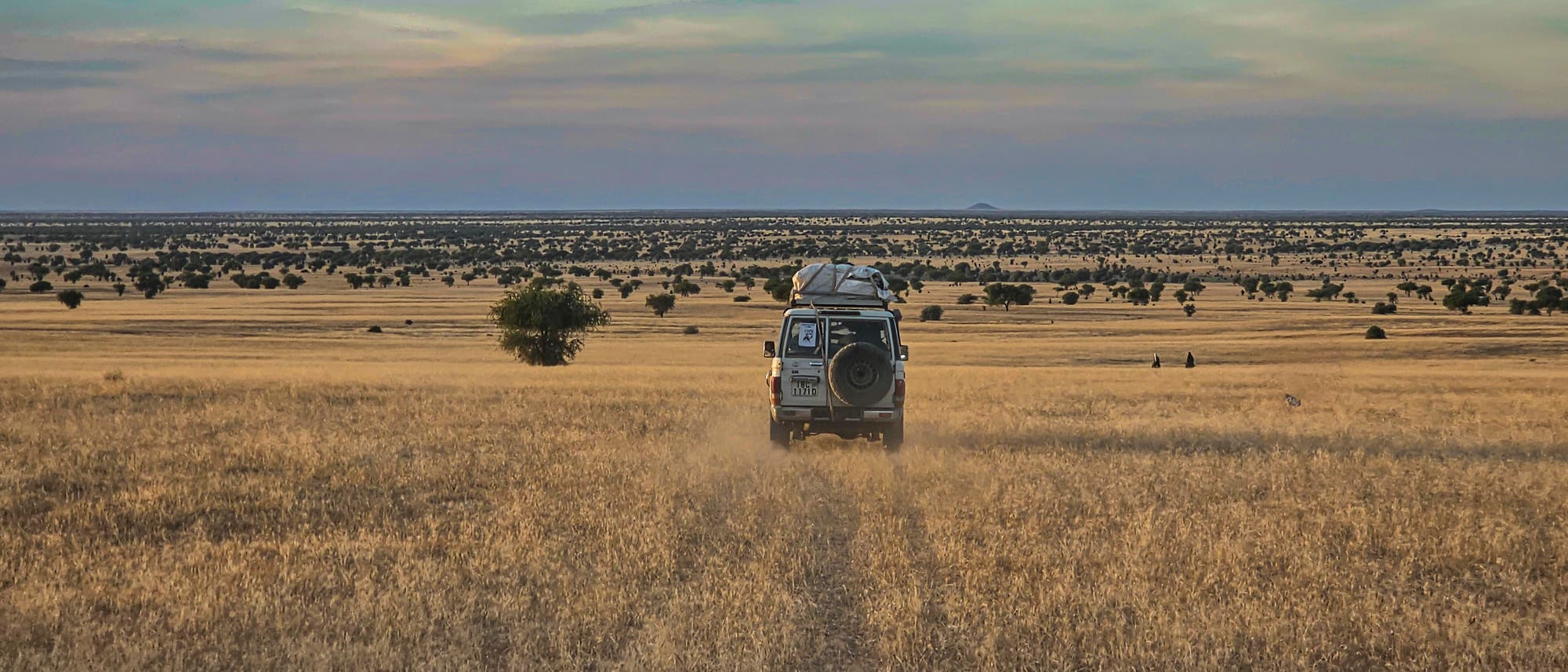 Ein Geländewagen fährt durch eine weite, trockene Savannenlandschaft unter einem bewölkten Himmel. Im Hintergrund sind vereinzelt Bäume zu sehen, die sich bis zum Horizont erstrecken. Der Wagen wirbelt Staub auf, während er über das goldene Gras fährt. Ein Geländewagen fährt durch eine weite, trockene Savannenlandschaft unter einem bewölkten Himmel. Im Hintergrund sind vereinzelt Bäume zu sehen, die sich bis zum Horizont erstrecken. Der Wagen wirbelt Staub auf, während er über das goldene Gras fährt.